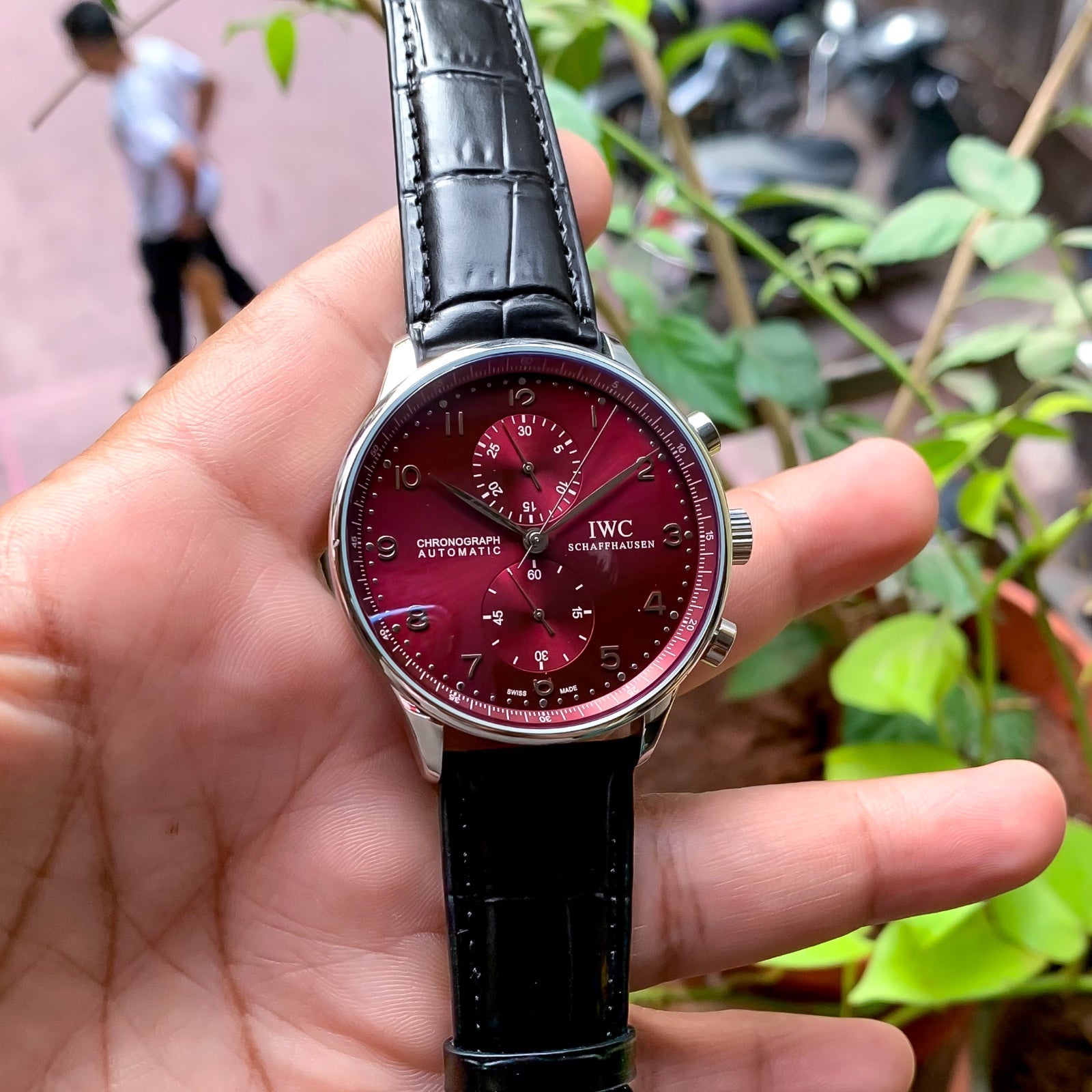IW_C Portugiese_r Chronograph Premium Automatic 🔥